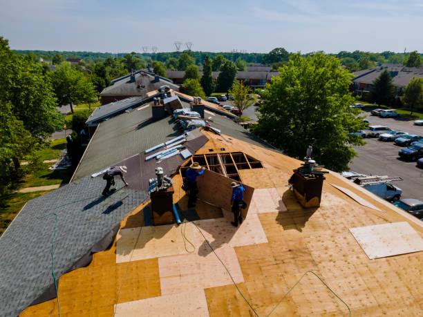 24/7 Emergency Roof Replacement experts in Berkley, MI